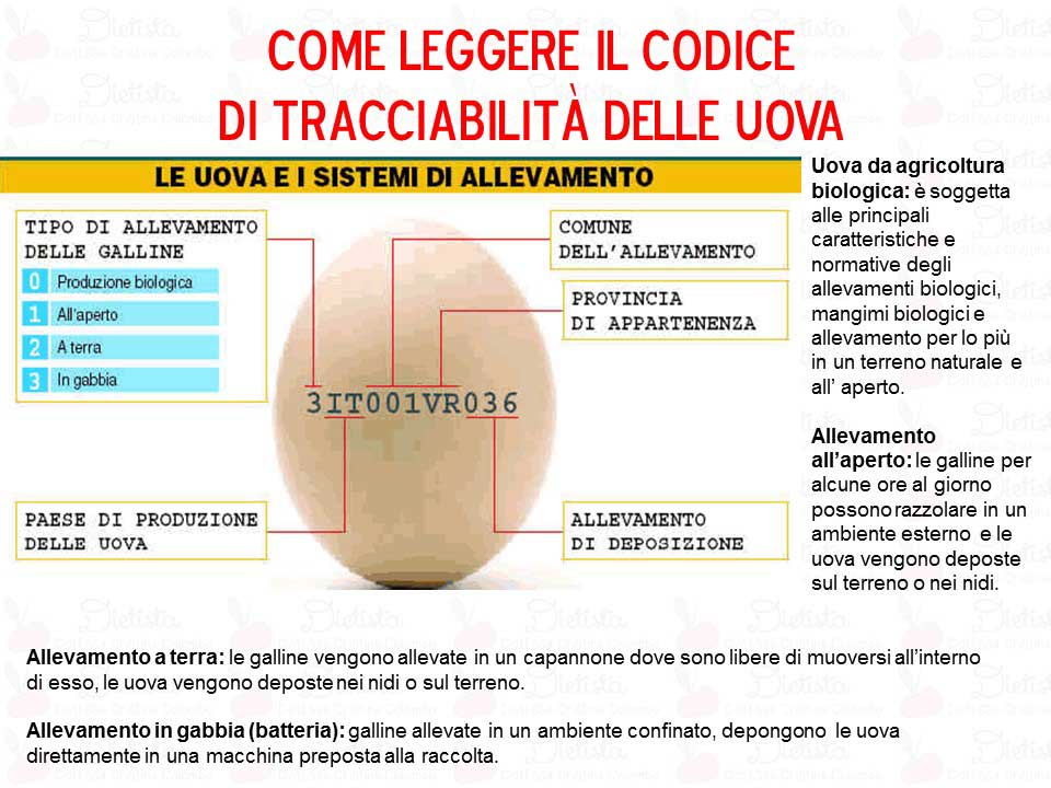 Uova-come-leggere-letichetta.jpg